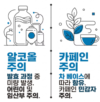콤부차 효능