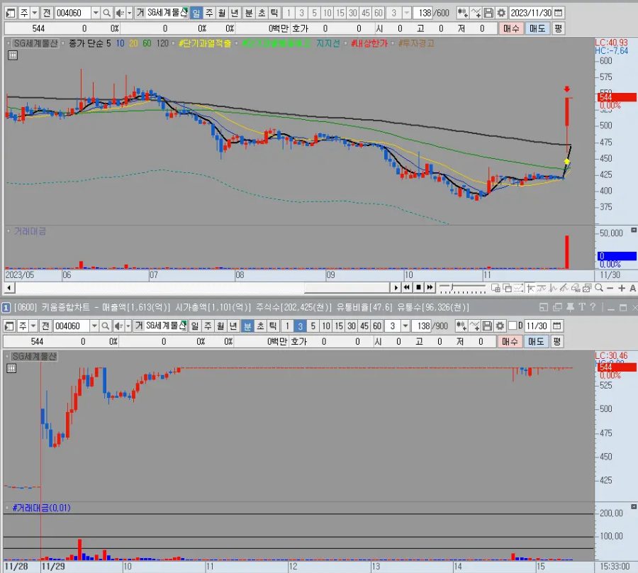 SG세계물산 일봉 및 분봉