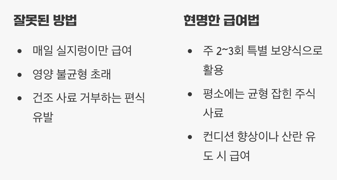 급여의 황금률, 주식이 아닌 특식으로