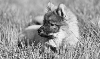 보습제 사용 시 주의사항 관련 사진
