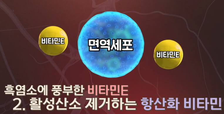 흑염소진액 효능