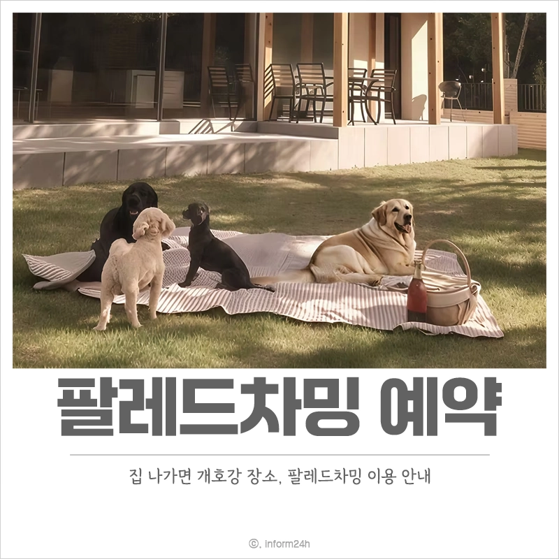 집-나가면-개호강-장소-팔레드-차밍-애견-동반-리조트