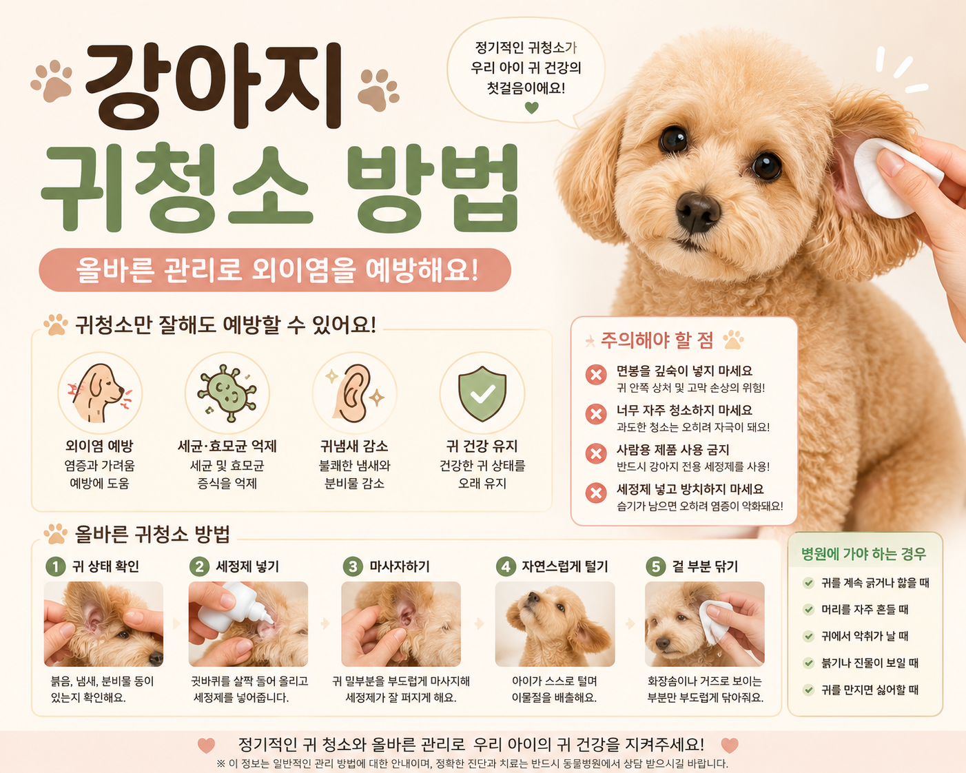 강아지 귀청소