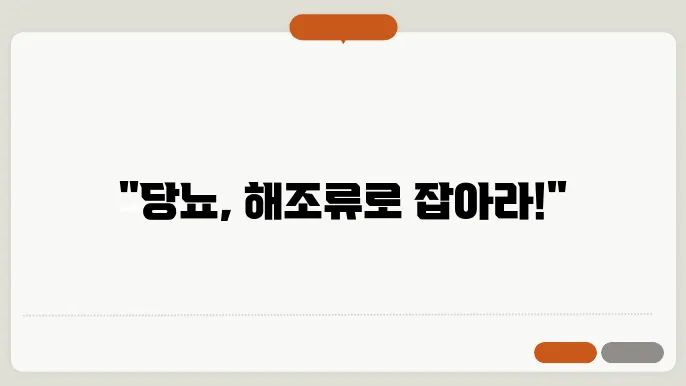 다양한 해조류의 효능을 시각적으로 보여주는 이미지