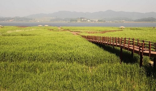 떴다 고여사 가을 낭만 국내 4대 갈대밭, 해송숲 서해바다 스카이워크, 홍원항 싱싱한 해산물 한상 횟집 맛집 충남 서천 여행 가볼만한 곳 추천 다시보기
