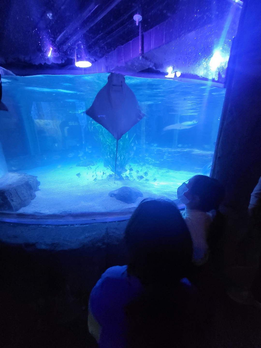 부산 아쿠아리움