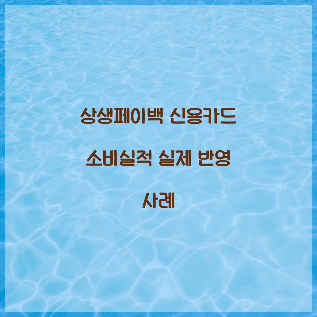 상생페이백 신용카드 소비실적 실제 반영 사례