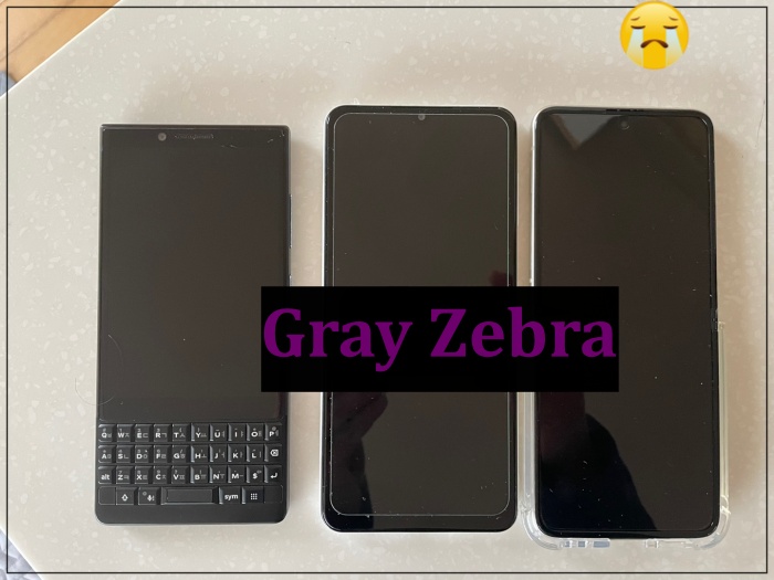 갤럭시 Z플립3 크기비교