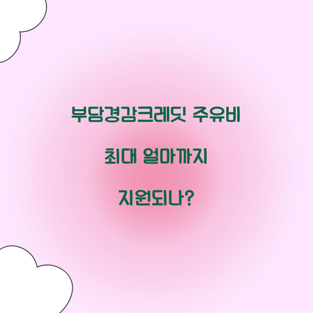 부담경감크레딧 주유비 최대 얼마까지 지원되나?