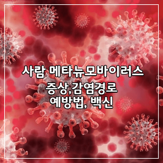 메타뉴모바이러스-썸네일