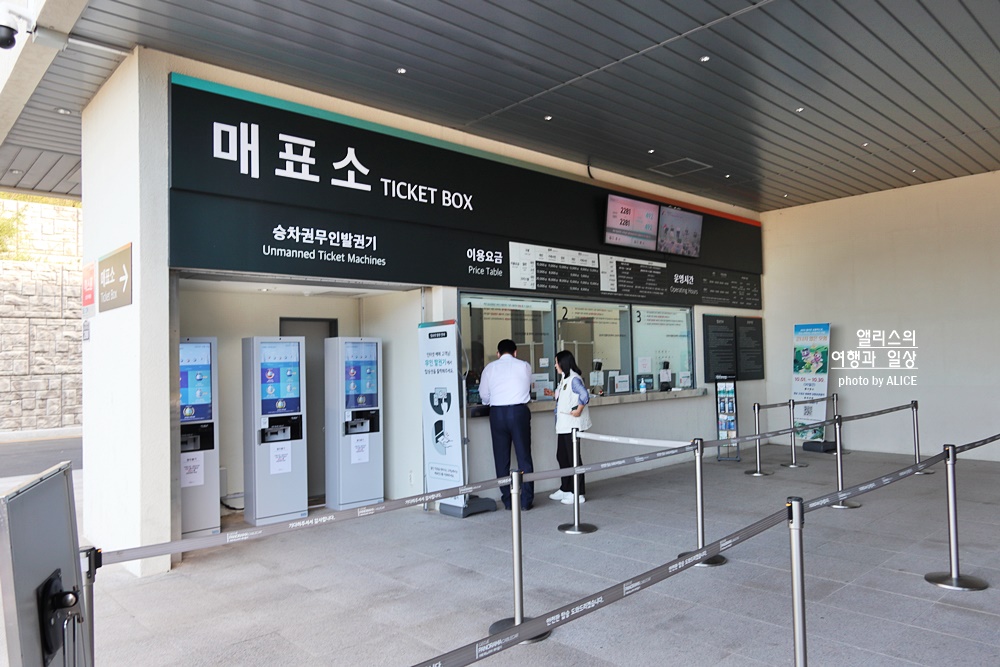 벨리곰과 함께 거제 파노라마 케이블카 할인 예약 시간 거제도 가볼만한곳