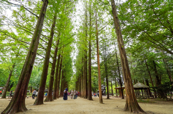 춘천 가볼만한곳