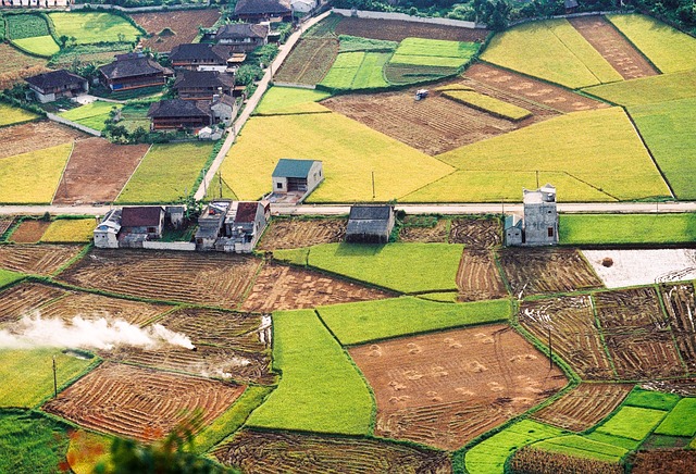 경기도 농민기본소득 신청방법 절차와 혜택 알아보기
