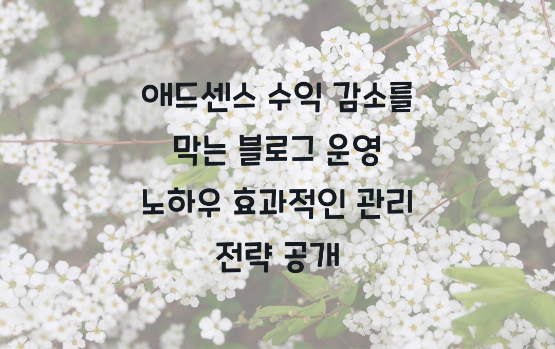 애드센스 수익 감소를 막는 블로그 운영 노하우