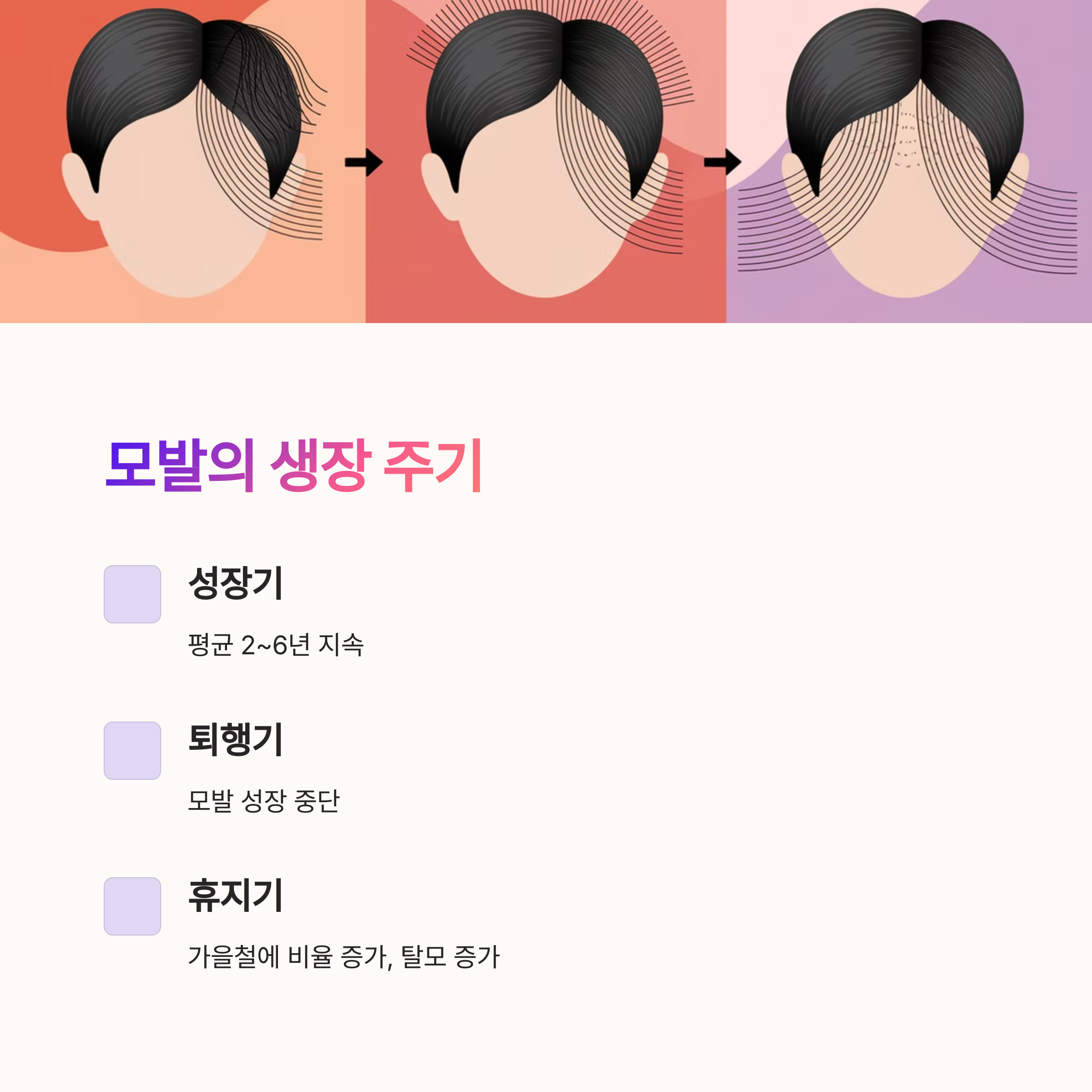 모발의 생장주기 이미지