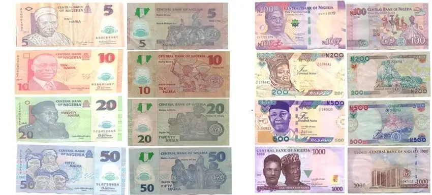 나이라 지폐 종류