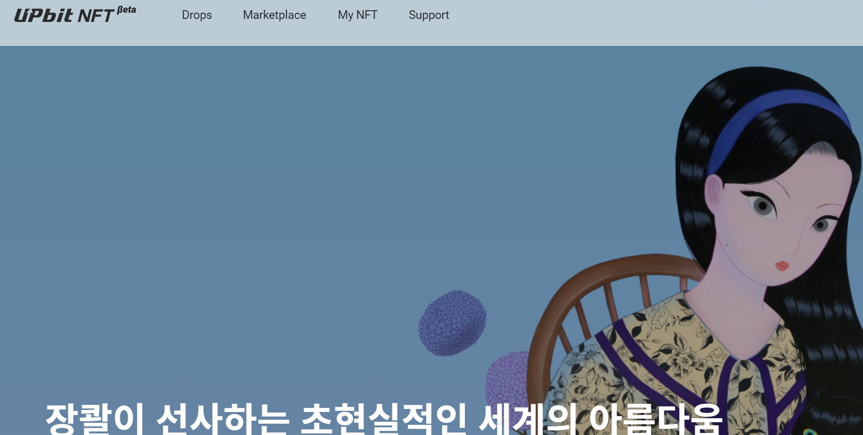 nft 다음메타