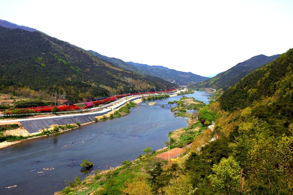 곡성 세계 장미 축제 주변 관광지 정보