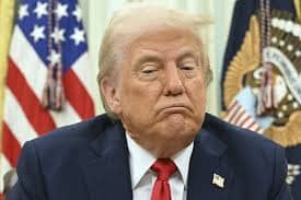 트럼프 미국 관련주