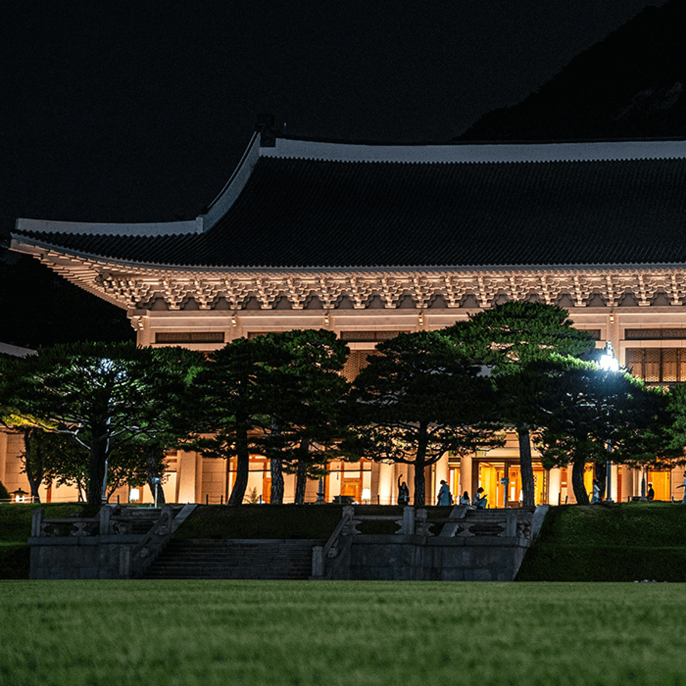 청와대 밤의 산책