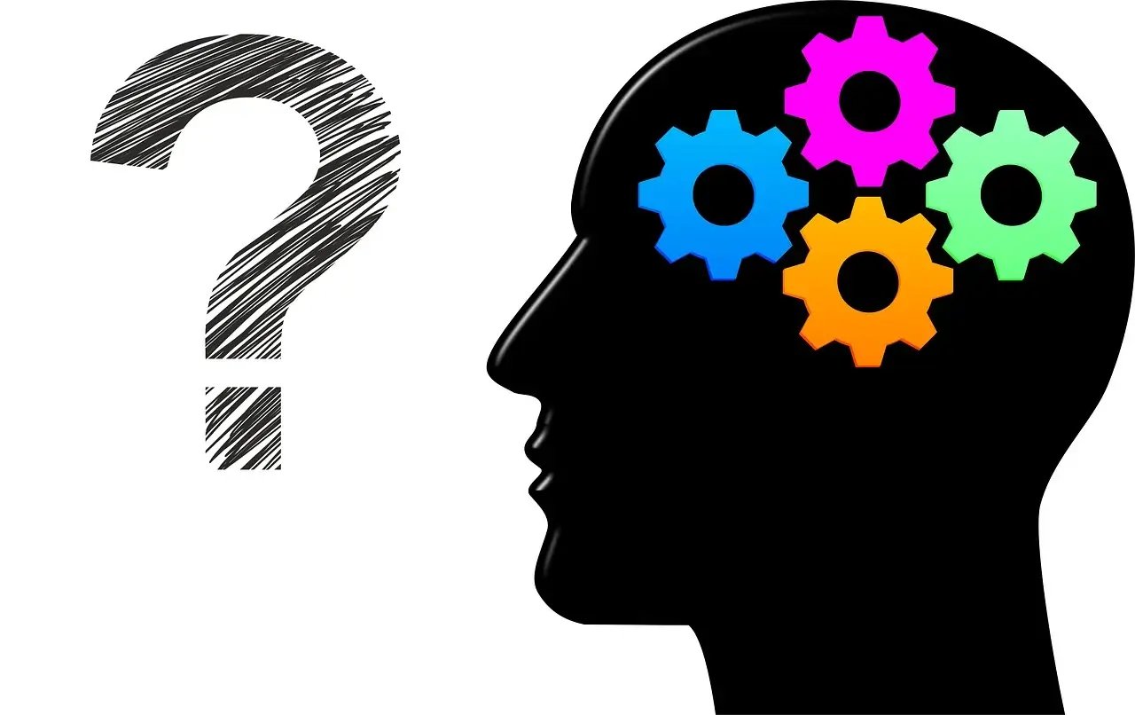 IQ 테스트