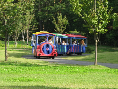 소만이란 무엇인지 알아봅시다