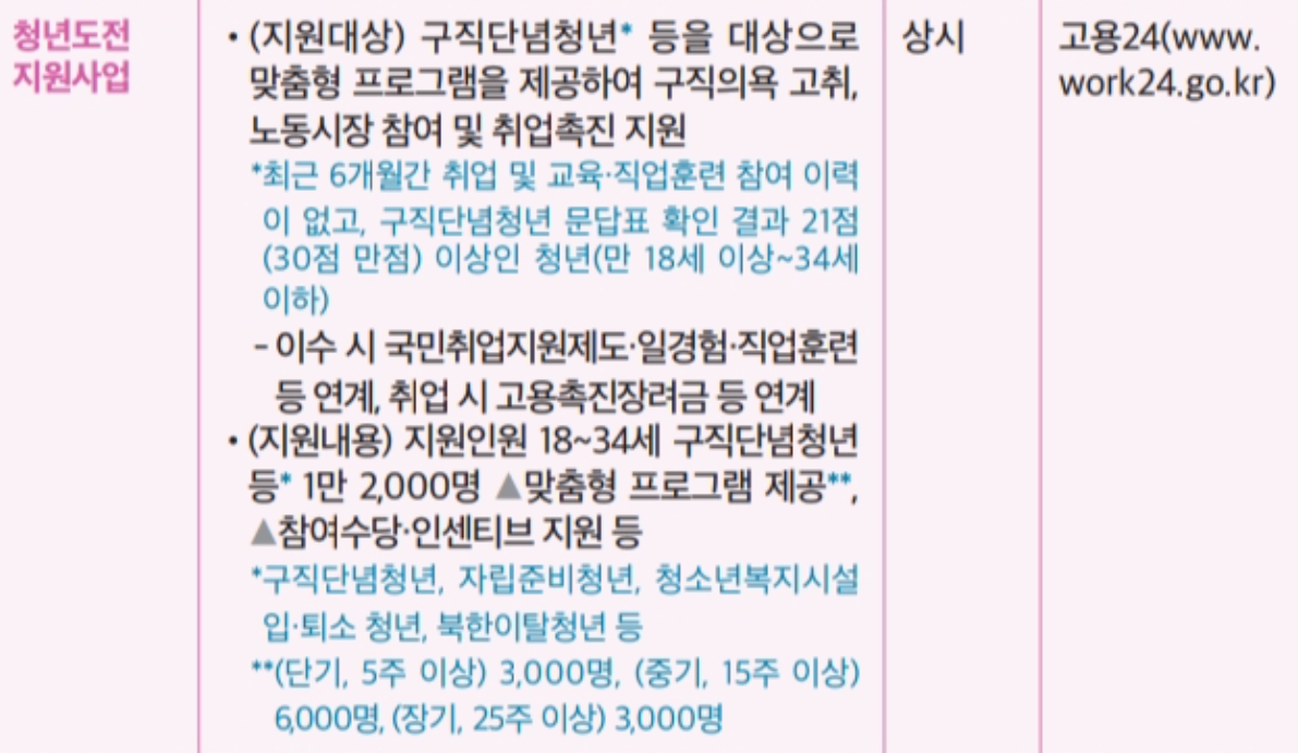 청년도전 지원사업 정책 포스터 - 자존감 회복, 직무훈련, 취업연계 요약 안내