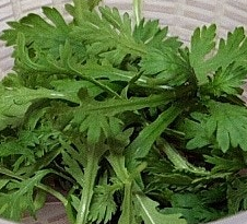 쑥갓의 효능 부작용 고르는법 칼로리 꽃