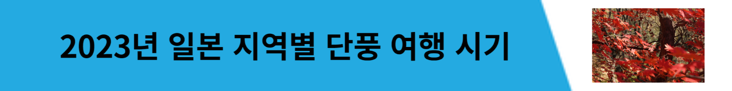 일본 단풍 여행