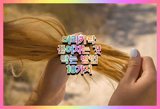 머리카락 끊어짐 방지방법