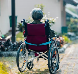 치매에 좋은 음식 영양제 식단