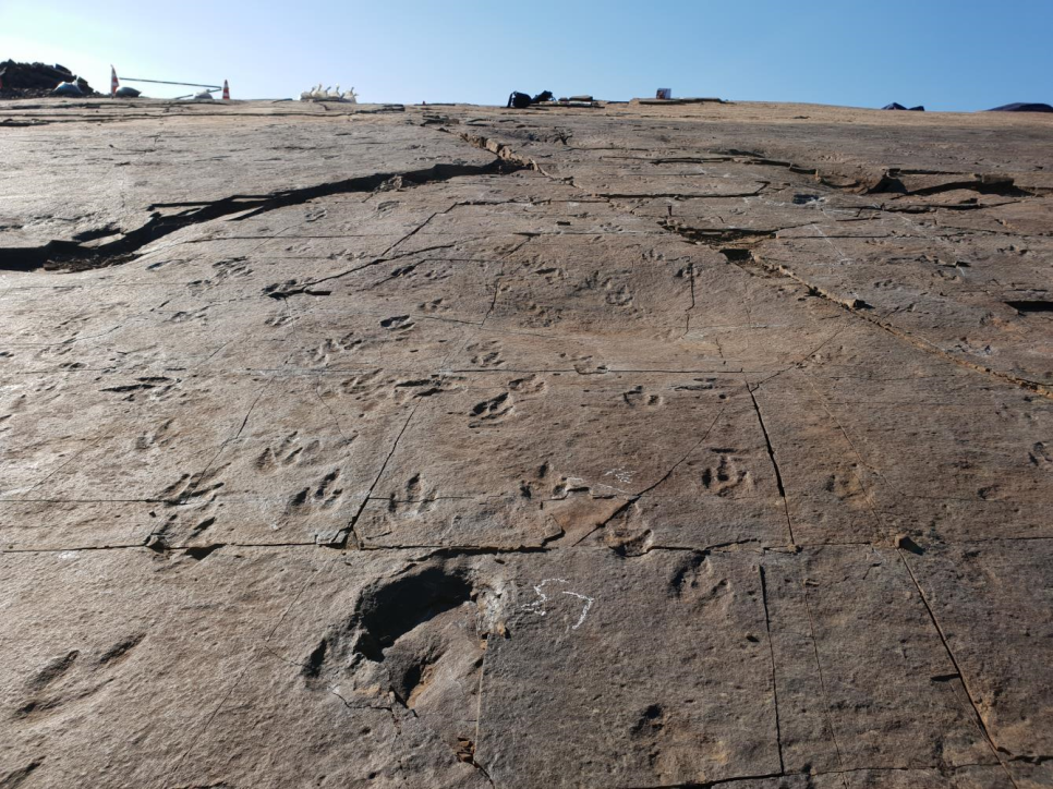 진주 정촌면 백악기 공룡 익륭발자국 화석 산지