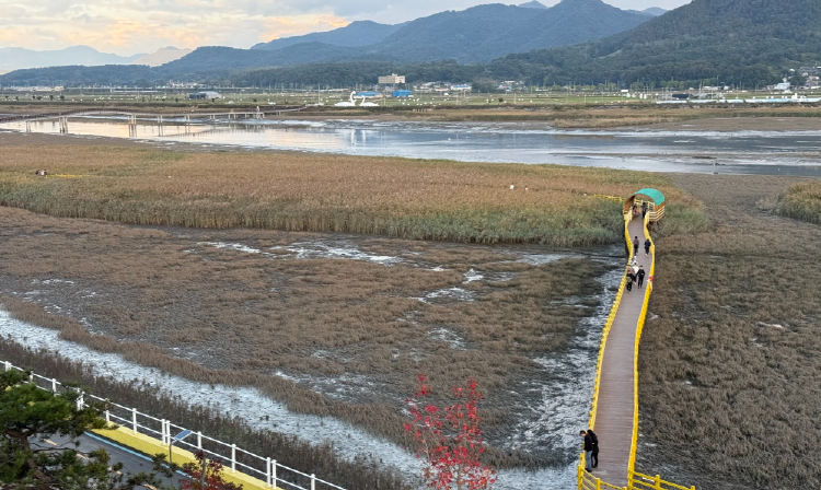 강진만 생태공원