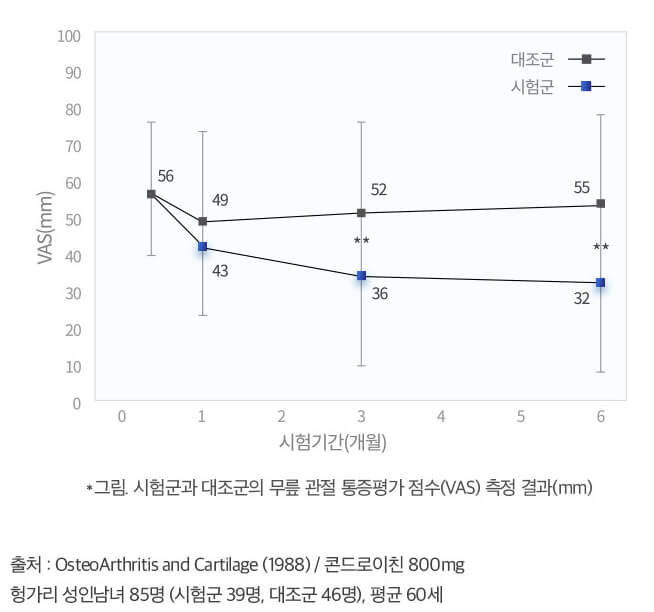 관절 사이 평균 너비 유지 확인