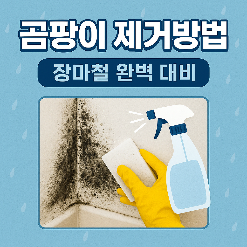 곰팡이 제거방법 장마철 완벽 대비