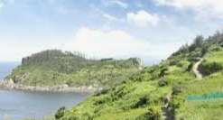 다도해해상국립공원 실시간 cctv