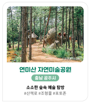 가을&amp;#44; 가을꽃 여행지 추천