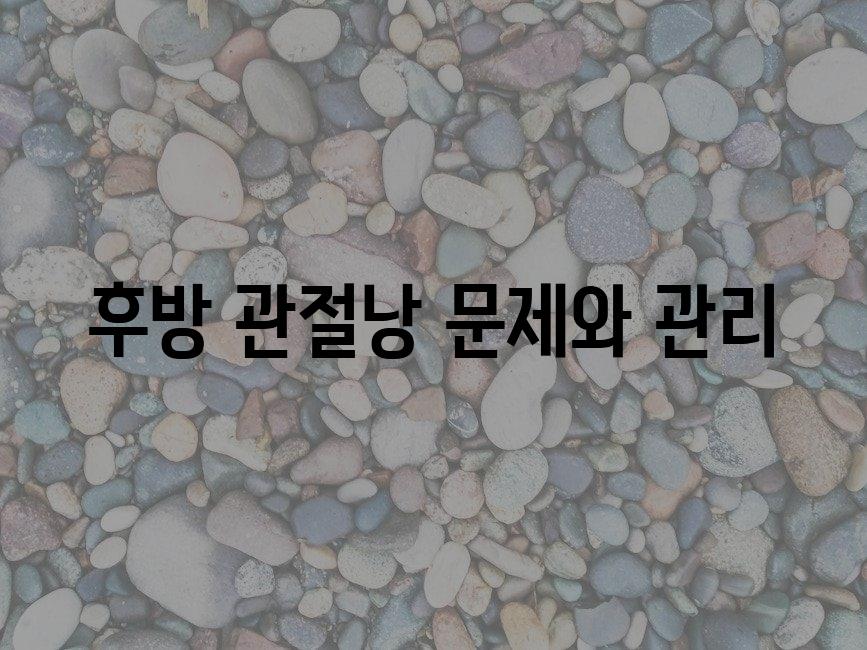 샘플 (82)