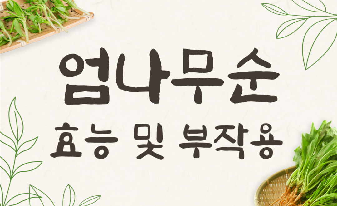 엄나무순·음나무순·개두릅 효능과 부작용 총정리