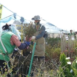 옥천묘목축제