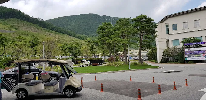 정선 '하이원 컨트리클럽' 소개 및 이용방법