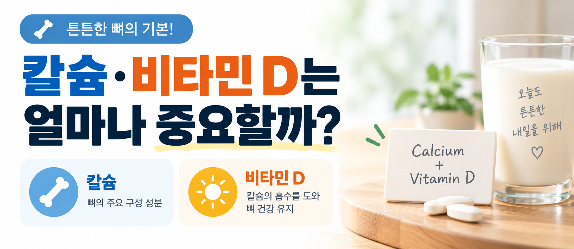 칼슘 비타민D 역할과 뼈 건강 관리