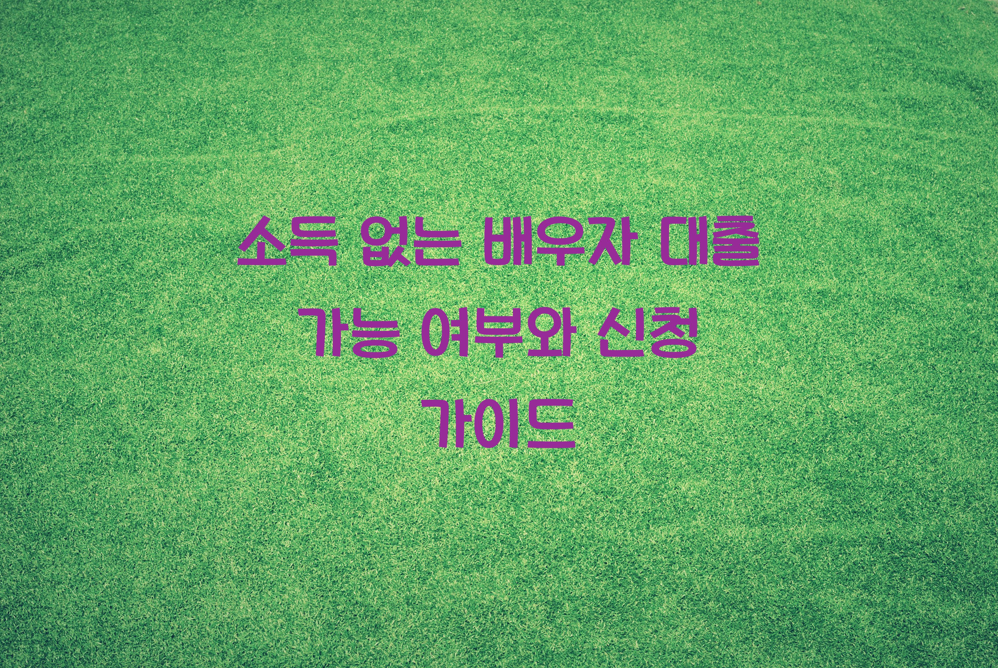 소득 없는 배우자 대출 가능 여부