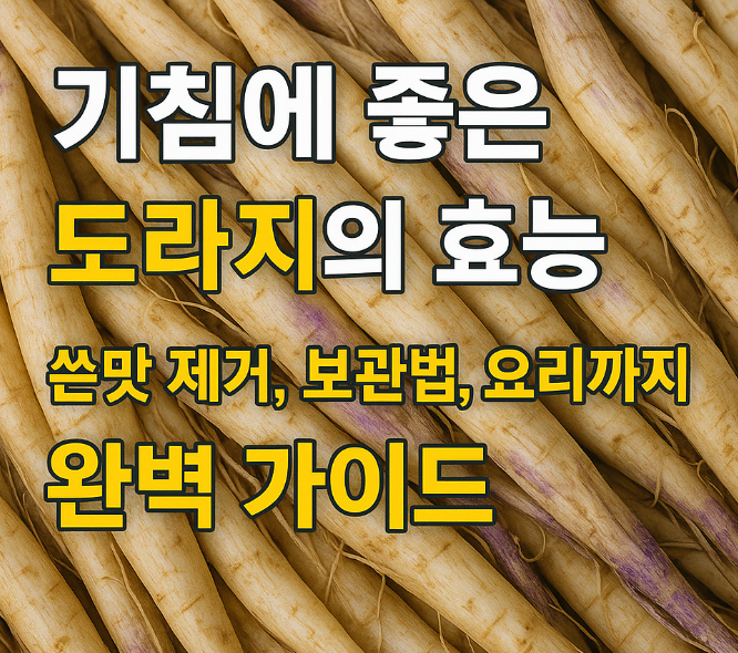 기침에-좋은-도라지의-효능-완벽-가이드