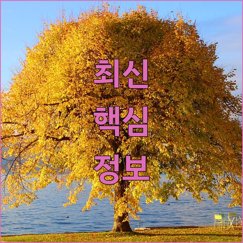 세라믹 식탁의 끝판왕? 우드띠어리 아..