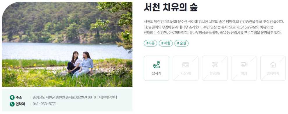 서천마량리 동백나무숲