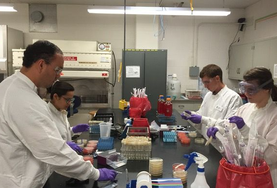 식품공학과 전망 및 전국대학리스트