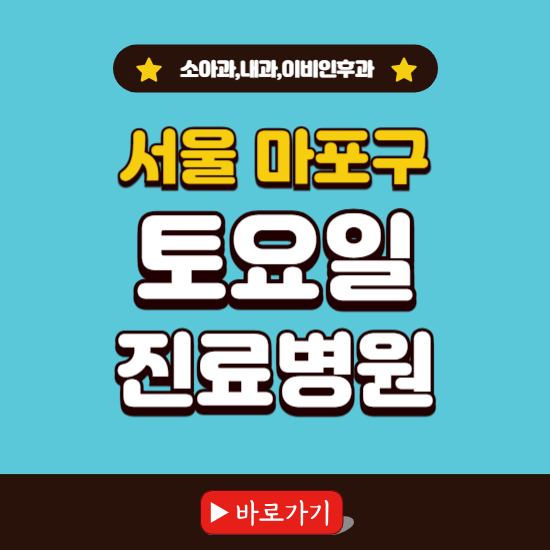 서울 마포구 토요일 진료 병원 찾기 ❘ 주말 문여는 소아과, 내과, 이비인후과 리스트