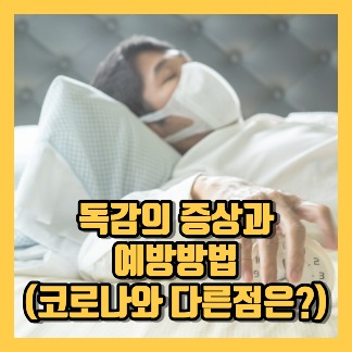 독감 증상