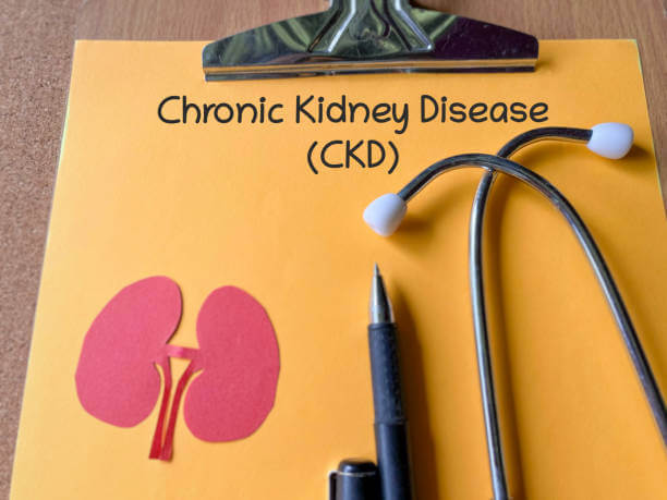 만성신부전증 증상 총정리 ! 초기 신호부터 말기까지 꼭 알아야 할 모든 것